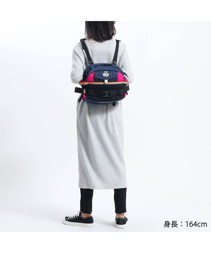 CHUMS - CHUMS登山リュック チャムス CHUMS チャムス CHUMS スプリングデール Spring Dale