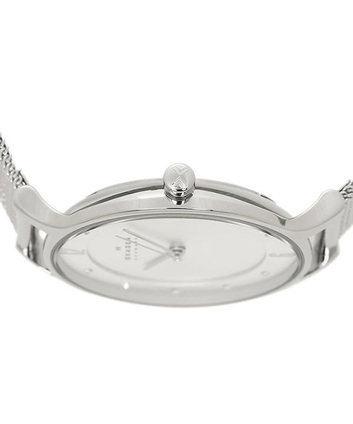 セール】スカーゲン 時計 SKAGEN SKW2149 ANITA アニタ スチール セール】スカーゲン 時計 SKAGEN SKW2149 ANITA アニタ スチール