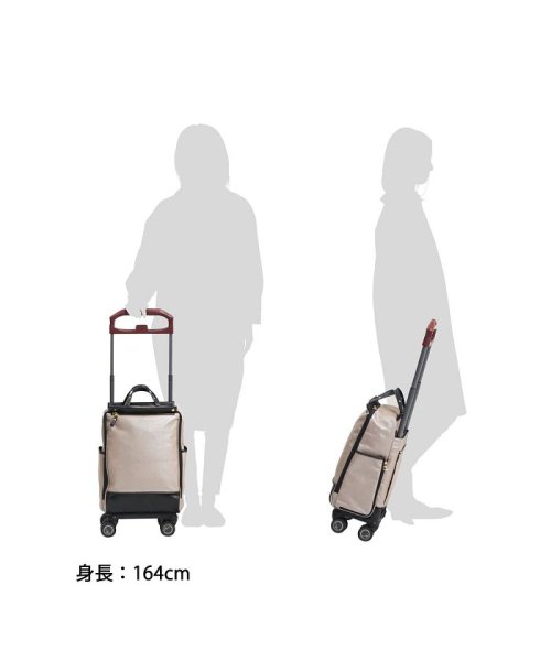 ソエルテ キャリーバッグ Soelte キャリーケース トローリーバッグ カランド 21l ソエルテ Soelte D Fashion ソエルテ キャリーバッグ Soelte キャリーケース トローリーバッグ カランド 21l ソエルテ Soelte D Fashion