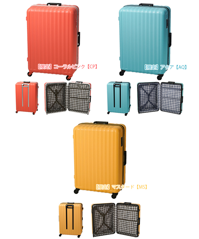 430Y 早い者勝ち【約50L】BOUNDRIP スーツケース キャリーバッグ バウンドリップ BOUNDRIP バウンドリップ スーツケース LLサイズ