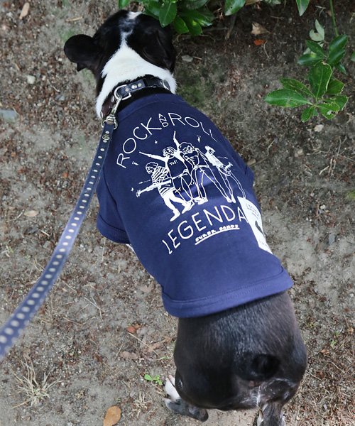 犬 服 ペアルック ペットとお揃い ドッグウエア 小型犬 中型犬 Licick リシック 7363 ロッキーモンロー Rocky Monroe D Fashion 犬 服 ペアルック ペットとお揃い ドッグウエア 小型犬 中型犬 Licick リシック 7363 ロッキーモンロー Rocky Monroe D Fashion