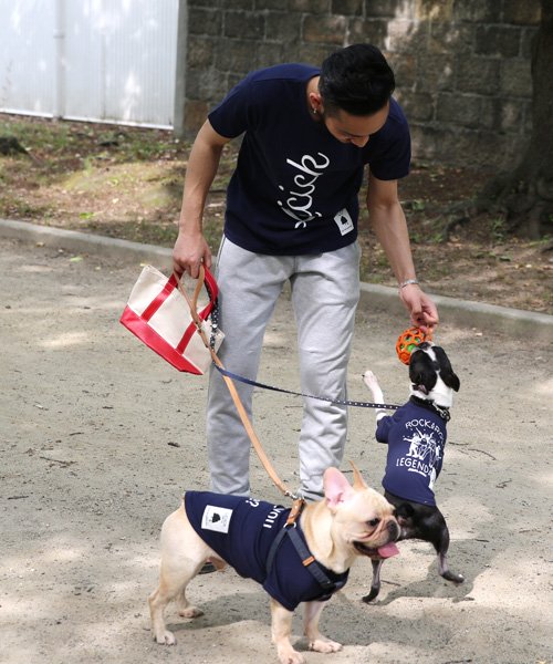 犬 服 ペアルック ペットとお揃い ドッグウエア 小型犬 中型犬 Licick リシック 7363 ロッキーモンロー Rocky Monroe D Fashion 犬 服 ペアルック ペットとお揃い ドッグウエア 小型犬 中型犬 Licick リシック 7363 ロッキーモンロー Rocky Monroe D Fashion
