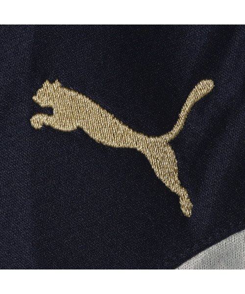 Figc イタリア Gk Ss レプリカシャツ 半袖 ユニフォーム プーマ Puma D Fashion
