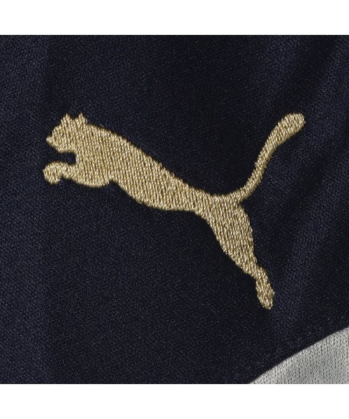 Figc イタリア Gk Ss レプリカシャツ 半袖 ユニフォーム プーマ Puma D Fashion Figc イタリア Gk Ss レプリカシャツ 半袖 ユニフォーム プーマ Puma D Fashion