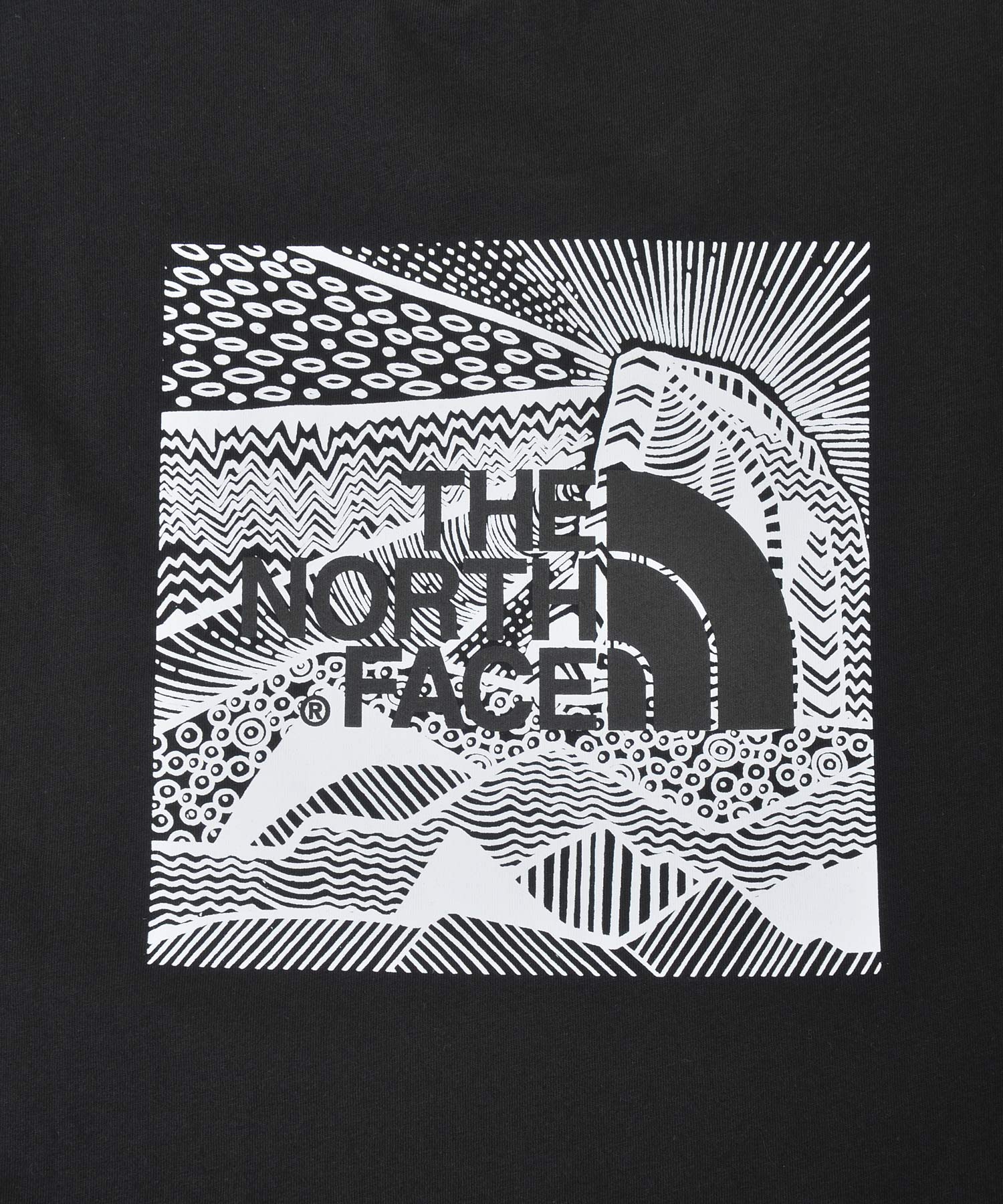 THE NORTH FACE ノースフェイス RedBox Celebration 半袖Tシャツ 