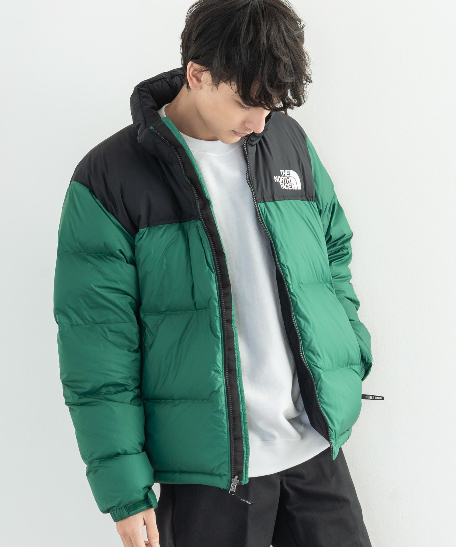 THE NORTH FACE ノースフェイス 韓国 1996 ECO NUPTSE JACKET ダウン 