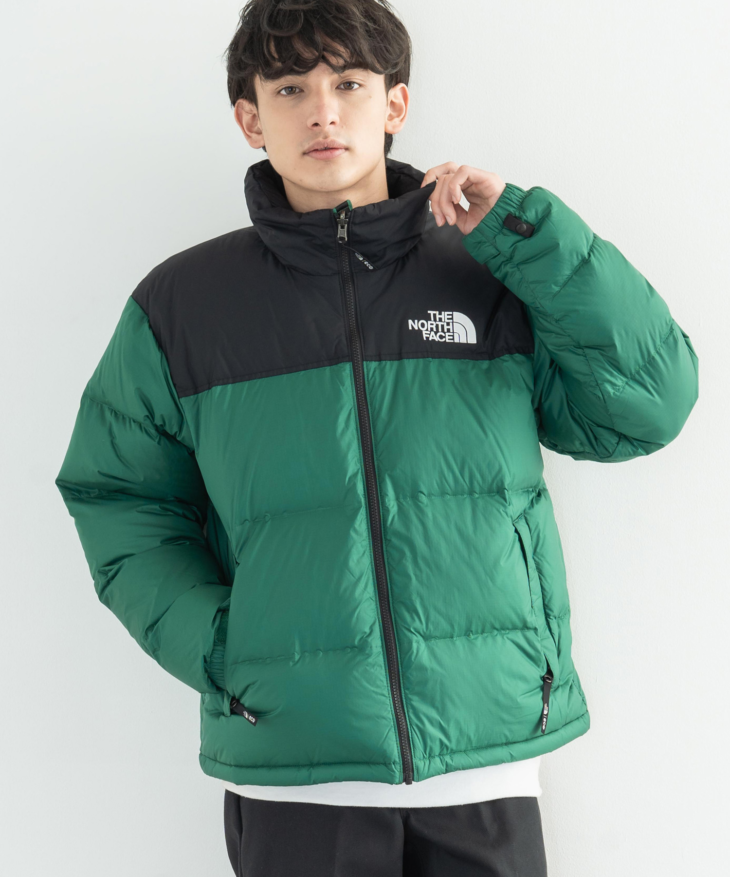 THE NORTH FACE ノースフェイス 韓国 1996 ECO NUPTSE JACKET ダウン 