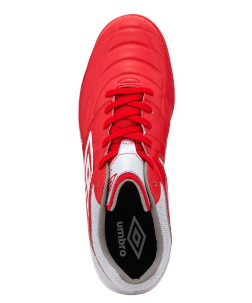 クーポン セール 30 Off アクセレイター サラ Wide Tf フットサル トレーニングシューズ ワイド幅広モデル アンブロ Umbro D Fashion クーポン セール 30 Off アクセレイター サラ Wide Tf フットサル トレーニングシューズ ワイド幅広モデル アンブロ Umbro D Fashion