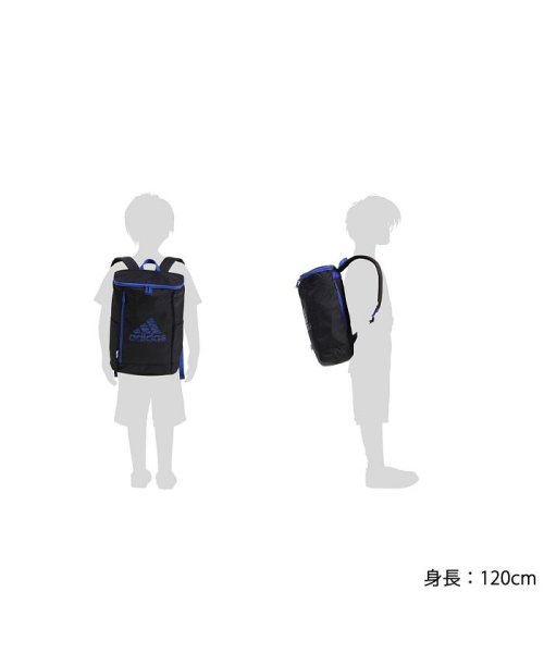 アディダス リュック Adidas リュックサック キッズ 男の子 女の子 子供 通園バッグ スクールバッグ 15l アディダス Adidas D Fashion アディダス リュック Adidas リュックサック キッズ 男の子 女の子 子供 通園バッグ スクールバッグ 15l アディダス Adidas D Fashion