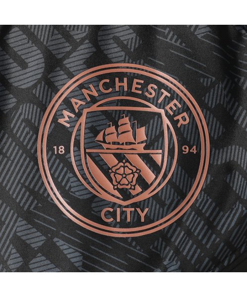 セール マンチェスター シティー Mcfc ウォームアップ ジャケット プーマ Puma D Fashion