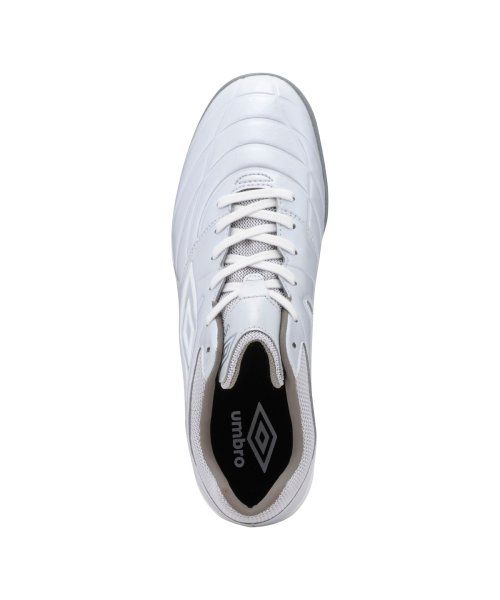 アクセレイターサラtr Wide Tf フットサル トレーニングシューズ 人工皮革 ワイド幅広 アンブロ Umbro D Fashion