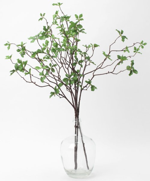 ドウダンツツジ フェイクインテリアグリーン 観葉植物 瓶付き アーティフィシャルフラワー 高級造花 お手入れ簡単 プアラニ Pualani D Fashion ドウダンツツジ フェイクインテリアグリーン 観葉植物 瓶付き アーティフィシャルフラワー 高級造花 お手入れ簡単 プアラニ Pualani D Fashion