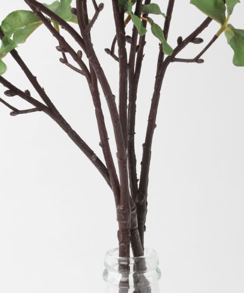 ドウダンツツジ フェイクインテリアグリーン 観葉植物 瓶付き アーティフィシャルフラワー 高級造花 お手入れ簡単 プアラニ Pualani D Fashion ドウダンツツジ フェイクインテリアグリーン 観葉植物 瓶付き アーティフィシャルフラワー 高級造花 お手入れ簡単 プアラニ Pualani D Fashion