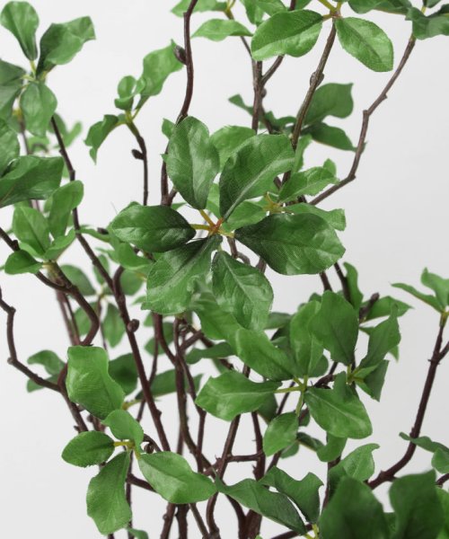 ドウダンツツジ フェイクインテリアグリーン 観葉植物 瓶付き アーティフィシャルフラワー 高級造花 お手入れ簡単 プアラニ Pualani D Fashion ドウダンツツジ フェイクインテリアグリーン 観葉植物 瓶付き アーティフィシャルフラワー 高級造花 お手入れ簡単 プアラニ Pualani D Fashion