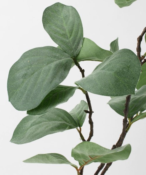 ベンガレンシス フェイクインテリアグリーン 観葉植物 瓶付き アーティフィシャルフラワー 高級造花 お手入れ簡単 プアラニ Pualani D Fashion ベンガレンシス フェイクインテリアグリーン 観葉植物 瓶付き アーティフィシャルフラワー 高級造花 お手入れ簡単 プアラニ Pualani D Fashion