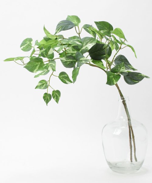 ポトス フェイクインテリアグリーン 観葉植物 瓶付き アーティフィシャルフラワー 高級造花 お手入れ簡単 プアラニ Pualani D Fashion ポトス フェイクインテリアグリーン 観葉植物 瓶付き アーティフィシャルフラワー 高級造花 お手入れ簡単 プアラニ Pualani D Fashion