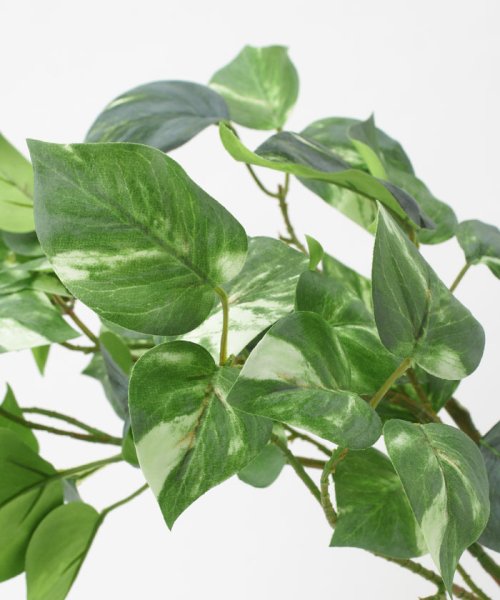 ポトス フェイクインテリアグリーン 観葉植物 瓶付き アーティフィシャルフラワー 高級造花 お手入れ簡単 プアラニ Pualani D Fashion