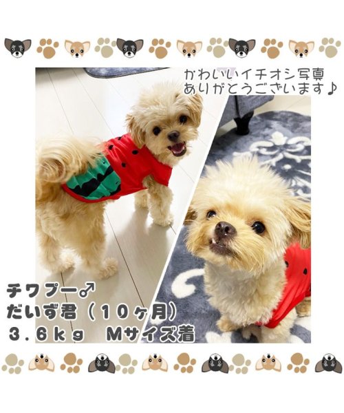 セール10 Off 犬 服 犬服 犬の服 タンクトップ フルーツ スイカ柄 ソフトメッシュ ドッグウェア 春 夏 春夏 毛抜け防止 毛落ち防止 おしゃれ 可愛い 女の子 男の子 はっぴーdog Happy Dog D Fashion