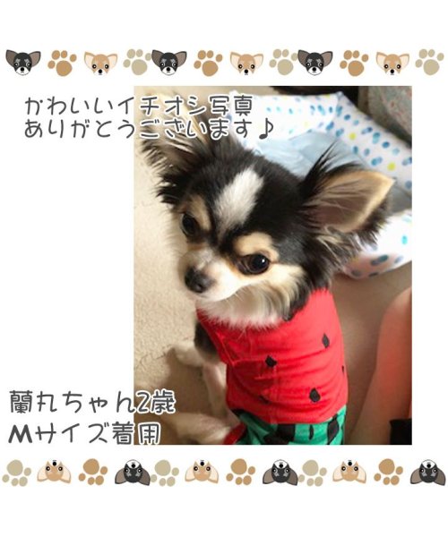 セール 犬 服 犬服 犬の服 タンクトップ フルーツ スイカ柄 ソフトメッシュ ドッグウェア 春 夏 春夏 毛抜け防止 毛落ち防止 おしゃれ 可愛い 女の子 男の子 はっぴーdog Happy Dog D Fashion セール 犬 服 犬服 犬の服 タンクトップ フルーツ スイカ柄 ソフトメッシュ ドッグウェア 春 夏 春夏 毛抜け防止 毛落ち防止 おしゃれ 可愛い 女の子 男の子 はっぴーdog Happy Dog D Fashion