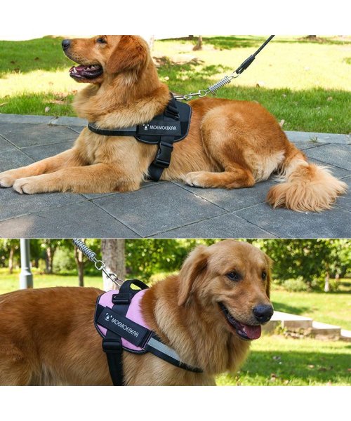 セール ハーネス 胴輪 大型犬 中型犬 犬服 犬 服 犬の服 ドッグウェア 犬服冬 防寒 暖かい 冬服 秋冬 冬 おしゃれ 可愛い 女の子 男の子 トイプードル チワ はっぴーdog Happy Dog D Fashion セール ハーネス 胴輪 大型犬 中型犬 犬服 犬 服 犬の服 ドッグウェア 犬服冬 防寒 暖かい 冬服 秋冬 冬 おしゃれ 可愛い 女の子 男の子 トイプードル チワ はっぴーdog Happy Dog D Fashion