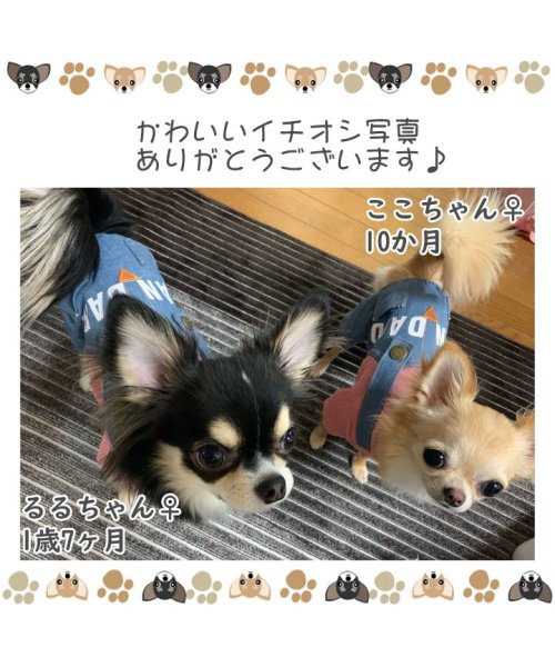 犬 服 犬服 犬の服 ドッグウェア つなぎ ロンパース カバーオール デニム ロゴ 春 夏 春夏 毛抜け防止 毛落ち防止 おしゃれ 可愛い 女の子 男の子 はっぴーdog Happy Dog D Fashion 犬 服 犬服 犬の服 ドッグウェア つなぎ ロンパース カバーオール デニム ロゴ 春 夏 春夏 毛抜け防止 毛落ち防止 おしゃれ 可愛い 女の子 男の子 はっぴーdog Happy Dog D Fashion