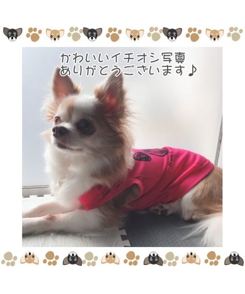 セール10 Off 犬 服 犬服 犬の服 タンクトップ 足跡柄 ドッグウェア 春 夏 春夏 毛抜け防止 毛落ち防止 おしゃれ 可愛い 女の子 男の子 トイプードル チワワ 洋服 はっぴーdog Happy Dog D Fashion セール10 Off 犬 服 犬服 犬の服 タンクトップ 足跡柄 ドッグウェア 春 夏 春夏 毛抜け防止 毛落ち防止 おしゃれ 可愛い 女の子 男の子 トイプードル チワワ 洋服 はっぴーdog Happy Dog D Fashion