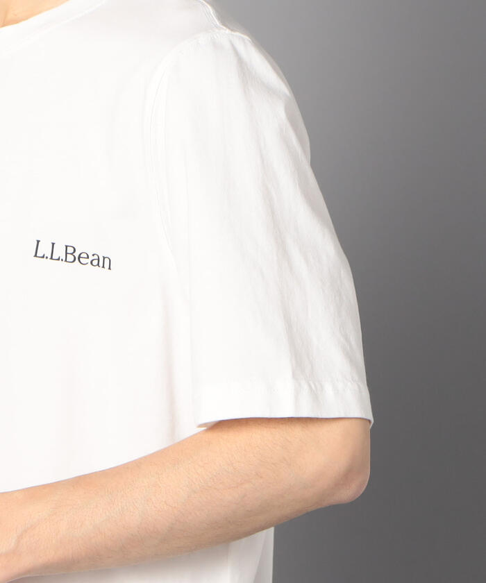 L.L.Bean/エルエルビーン】バックプリント Tシャツ (511789)(504056449 