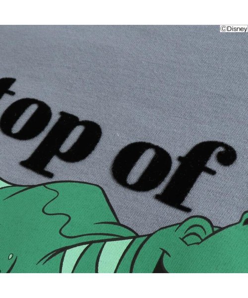 セール Off ディズニーキャラクター恐竜ｔシャツ ブリーズ Breeze D Fashion