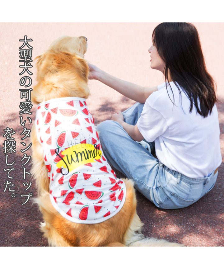 大型犬 タンクトップ ソフトメッシュ スイカ柄 犬 服 犬服 犬の服