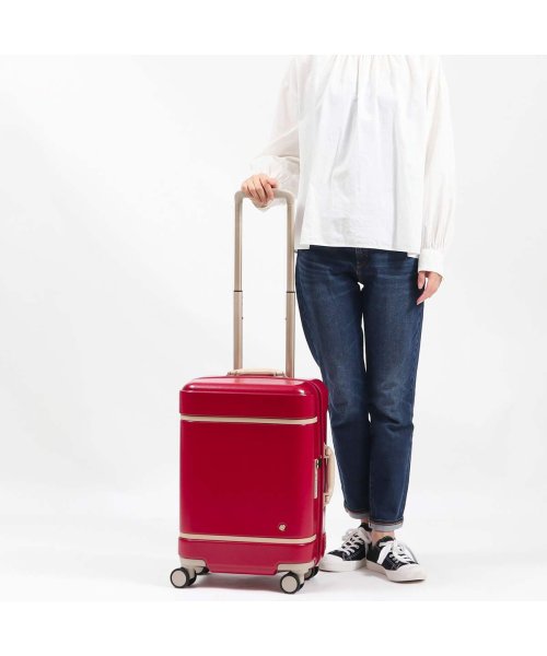 非常に高い品質 R style Japan ハント スーツケース キャスターストッパー付 ダブルホイール エコバッグ付き 約1~3泊向け  機内持ち込み可能 ノートル 06881 54 cm