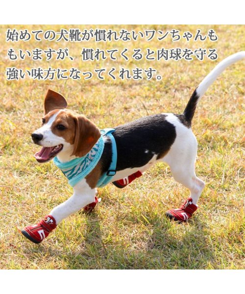 セール 犬 靴 犬靴 犬用靴 ドッグシューズ スニーカー 夏 肉球やけど防止 ファスナー 履かせやすい くつ 春 夏 春夏 夏服 毛抜け防止 毛落ち防止 おしゃれ 可 はっぴーdog Happy Dog D Fashion セール 犬 靴 犬靴 犬用靴 ドッグシューズ スニーカー 夏 肉球やけど防止 ファスナー 履かせやすい くつ 春 夏 春夏 夏服 毛抜け防止 毛落ち防止 おしゃれ 可 はっぴーdog Happy Dog D Fashion