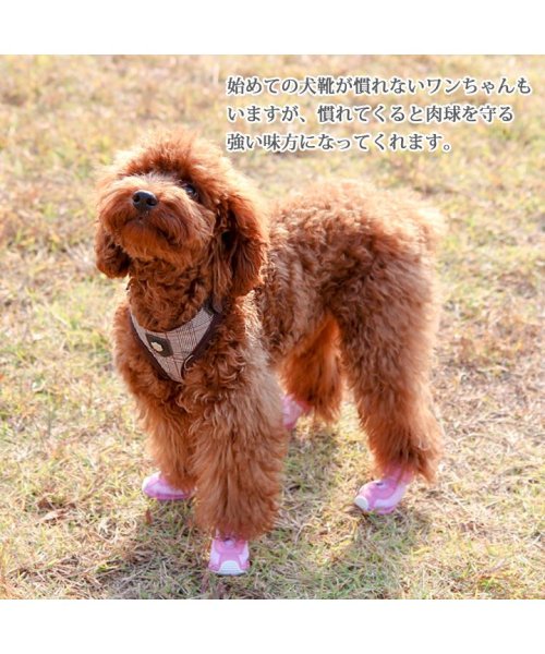 セール 犬 靴 犬靴 犬用靴 ドッグシューズ スニーカー 夏 肉球やけど防止 履かせやすい くつ 秋 冬 秋冬 冬服 毛抜け防止 毛落ち防止 おしゃれ 可愛い 女の子 はっぴーdog Happy Dog D Fashion セール 犬 靴 犬靴 犬用靴 ドッグシューズ スニーカー 夏 肉球やけど防止 履かせやすい くつ 秋 冬 秋冬 冬服 毛抜け防止 毛落ち防止 おしゃれ 可愛い 女の子 はっぴーdog Happy Dog D Fashion