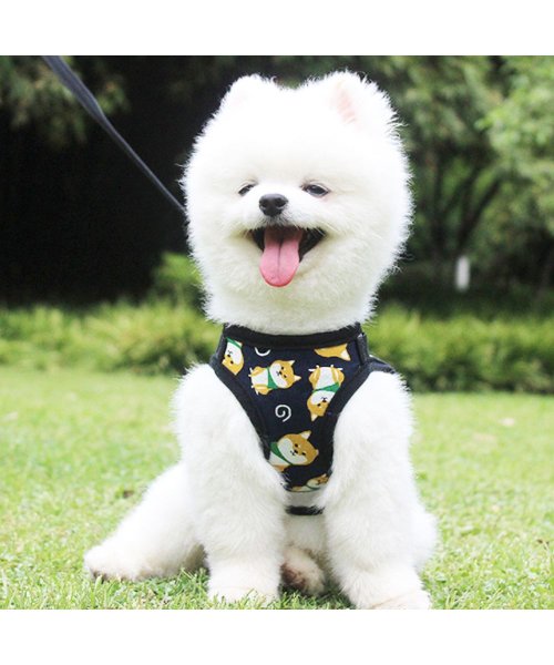 セール 犬 ハーネス リード 安全 柴犬 しばいぬ おしゃれ リードとハーネス二点セット 犬服 胴輪 ソフトハーネス ステップハーネス 犬用 お散歩 Dog Hn002 マウマウ Mowmow D Fashion セール 犬 ハーネス リード 安全 柴犬 しばいぬ おしゃれ リードとハーネス二点セット 犬服 胴輪 ソフトハーネス ステップハーネス 犬用 お散歩 Dog Hn002 マウマウ Mowmow D Fashion