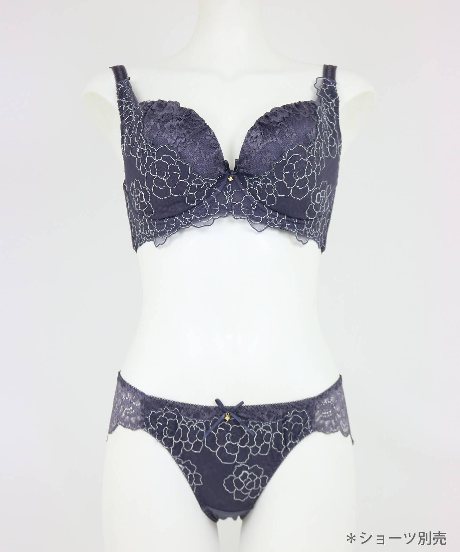 Luxe Lace リュクスレース コーディネートブラジャー G65－I85