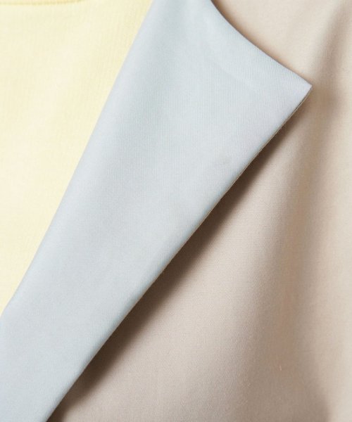 ＜UNITED ARROWS＞C/P バイカラー コート B †