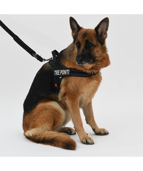 中大型犬用 フラッシュ ライン ハーネス 中大型犬用 中大型犬用 D Fashion 中大型犬用 フラッシュ ライン ハーネス 中大型犬用 中大型犬用 D Fashion