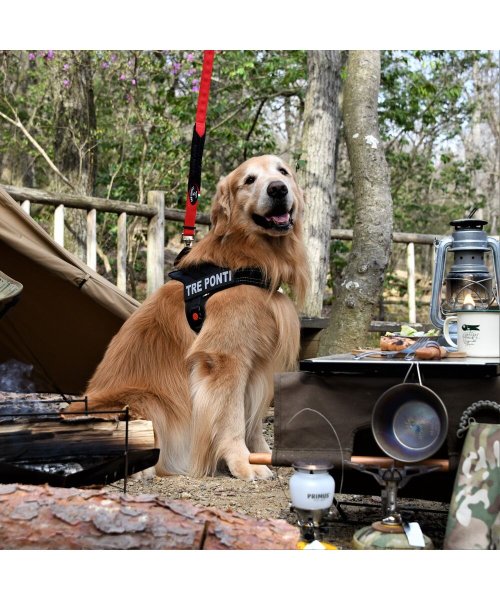 中大型犬用 フラッシュ ライン ハーネス 中大型犬用 中大型犬用 D Fashion