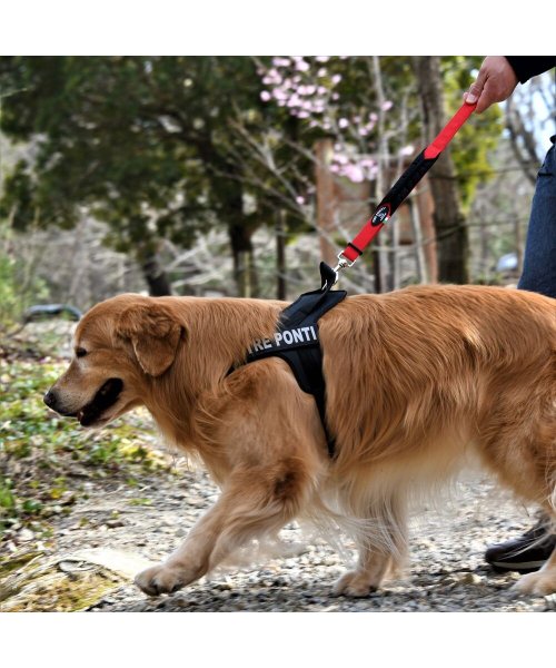中大型犬用 フラッシュ ライン ハーネス 中大型犬用 中大型犬用 D Fashion 中大型犬用 フラッシュ ライン ハーネス 中大型犬用 中大型犬用 D Fashion