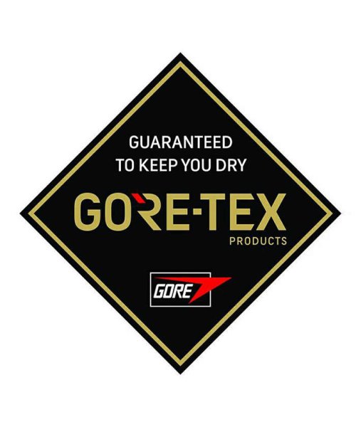 【SPINGLE MOVE 別注】GORE－TEX レザースニーカー / SP