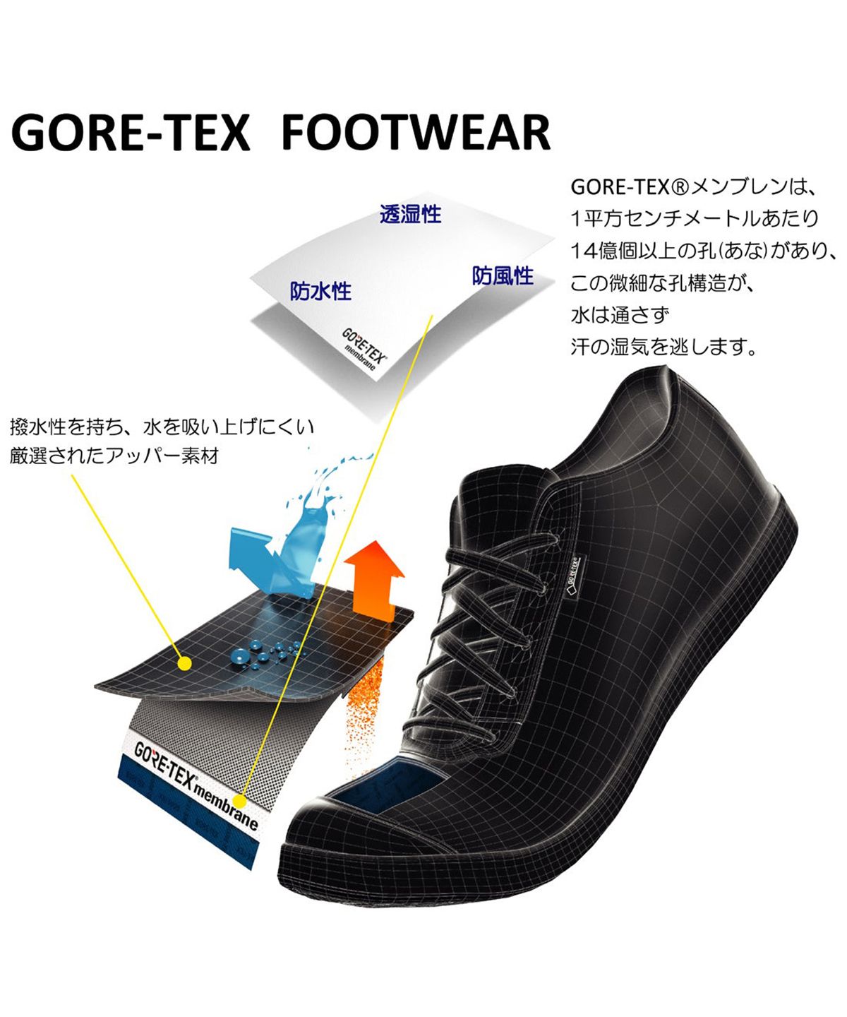 GORE－TEX】マドラスウォーク madras Walk ゴアテックス