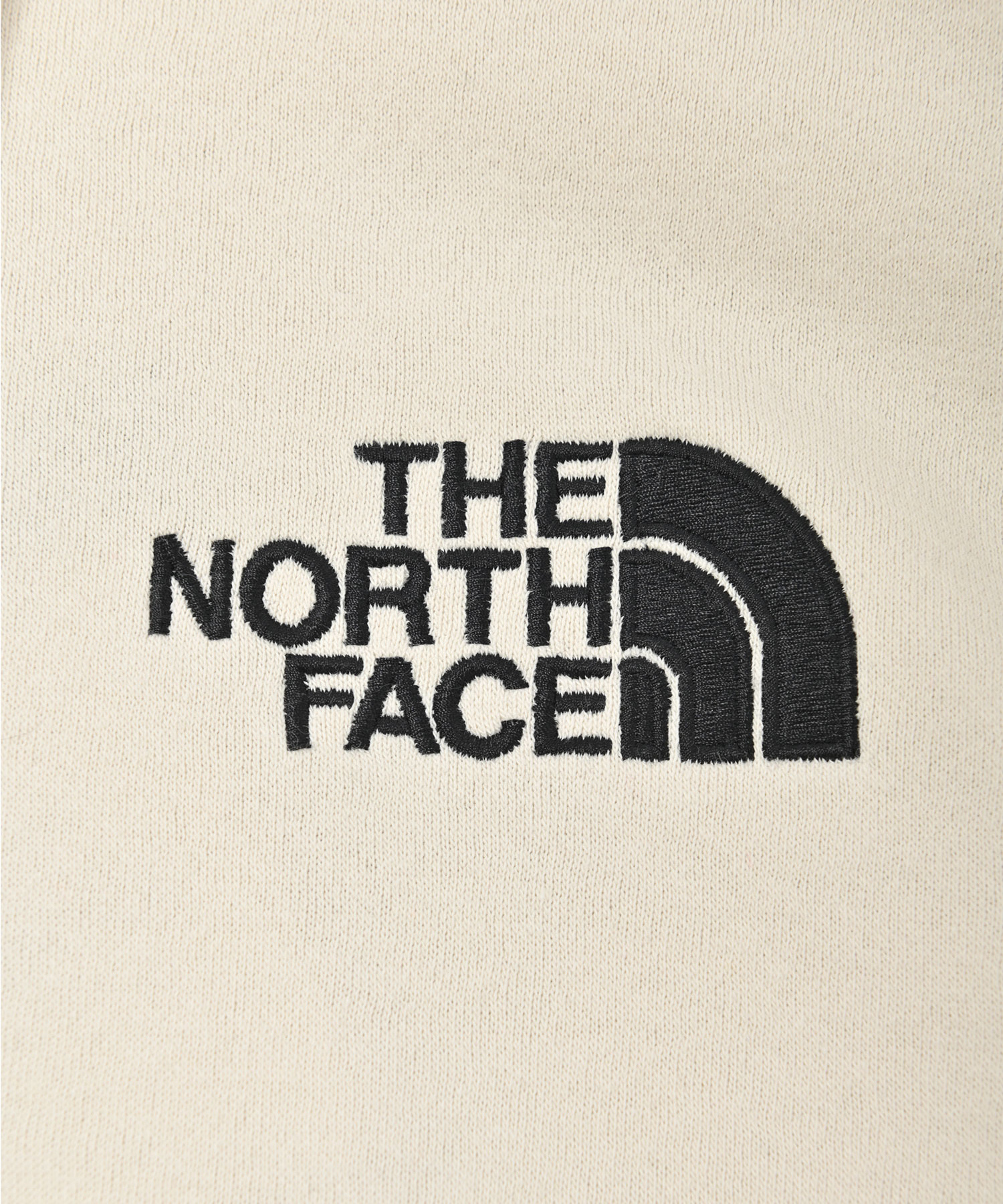 セール】THE NORTH FACE ザ・ノースフェイス パーカー メンズ 胸刺繍 