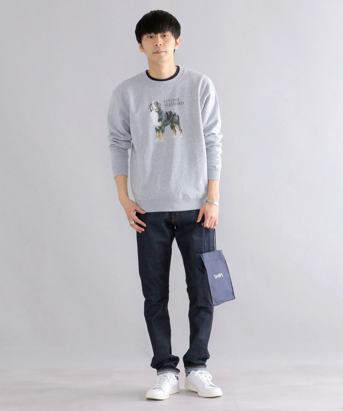 セール】*SHIPS: ビッグシルエット STYLISH STANDARD DOG