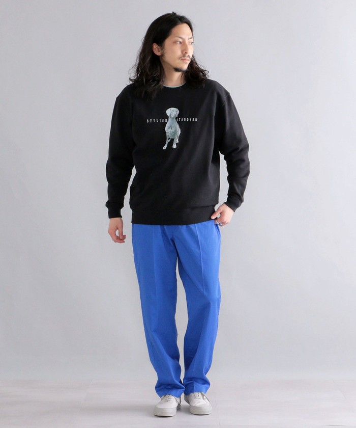 セール】*SHIPS: ビッグシルエット STYLISH STANDARD DOG セール】*SHIPS: ビッグシルエット STYLISH STANDARD DOG