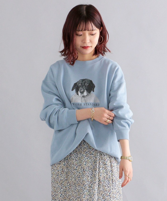 セール】*SHIPS: ビッグシルエット STYLISH STANDARD DOG