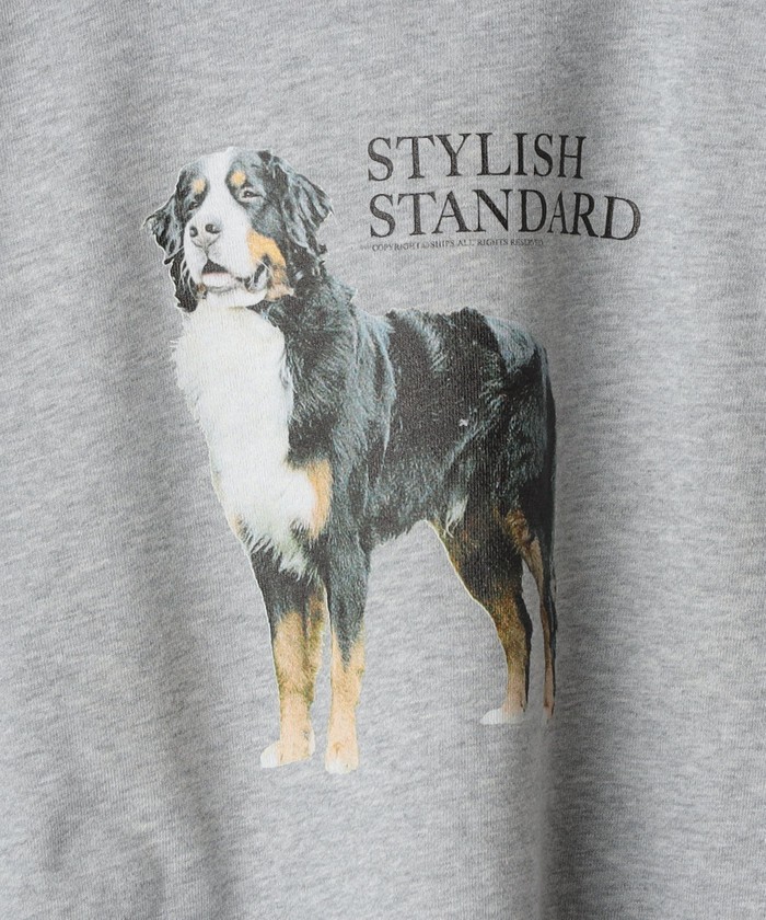 セール】*SHIPS: ビッグシルエット STYLISH STANDARD DOG セール】*SHIPS: ビッグシルエット STYLISH STANDARD DOG