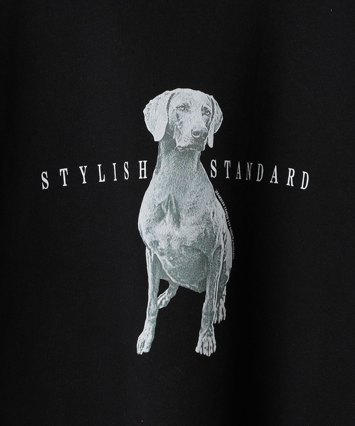 セール】*SHIPS: ビッグシルエット STYLISH STANDARD DOG セール】*SHIPS: ビッグシルエット STYLISH STANDARD DOG