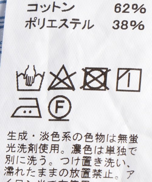 ＜DANTON（ダントン）＞ストライプ ドットボタン シャツ