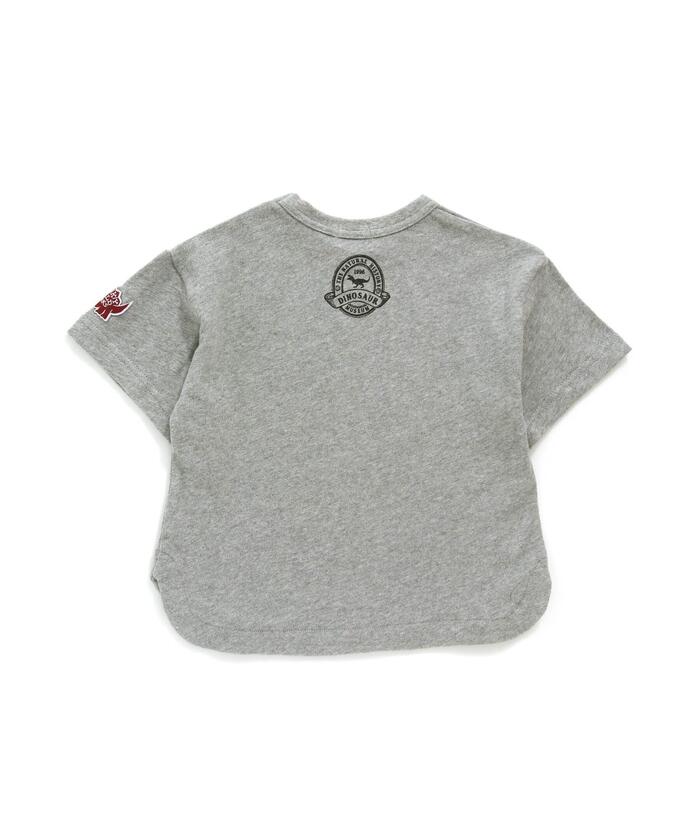 【Deus】キッズＴシャツセール・KIDS WILDCAT NF・バリ島送料込 楽天市場】夏SALE ザ・ノース・フェイス キッズ Tシャツ【100