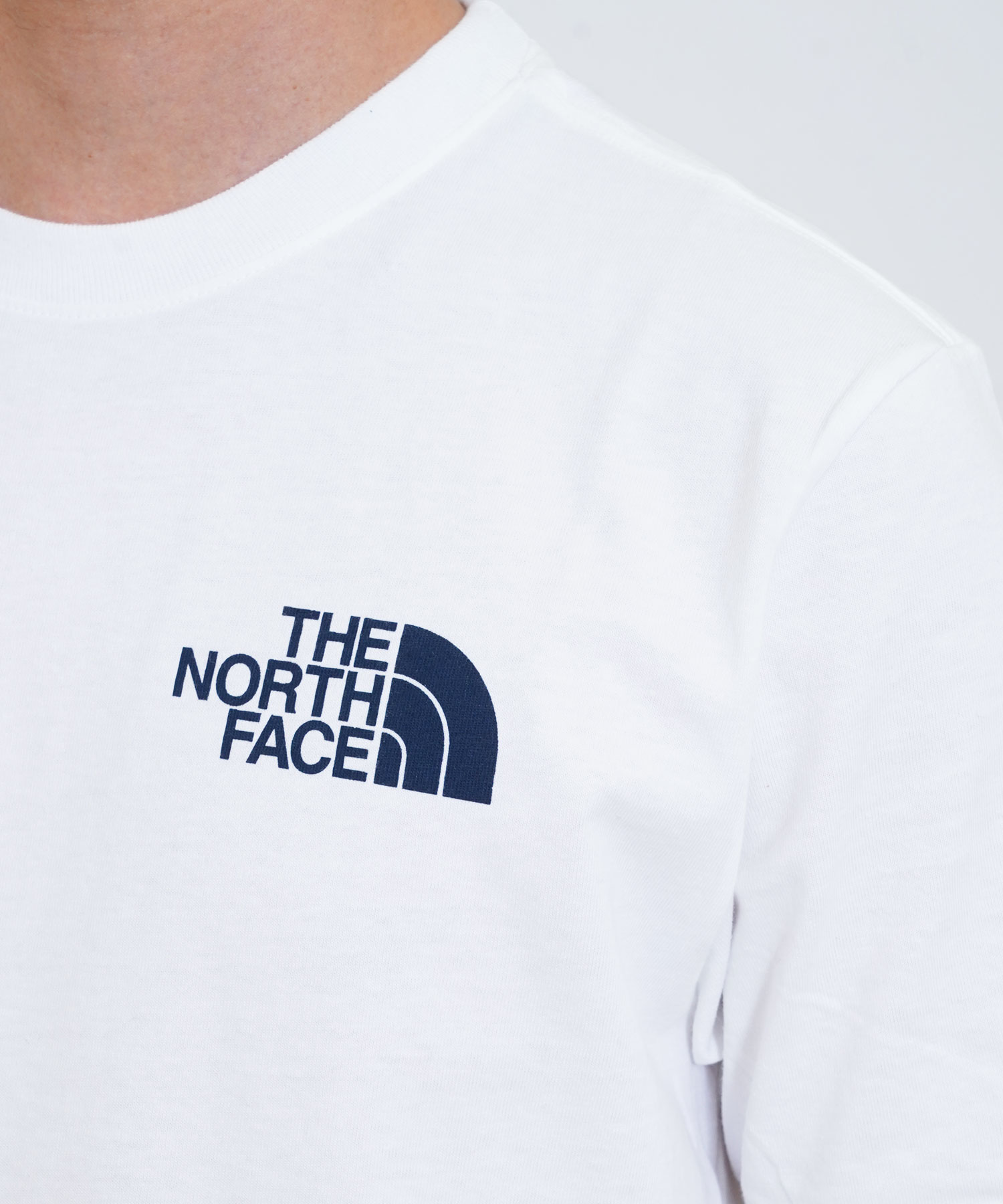セール】THE NORTH FACE(ザ・ノース・フェイス)グラフィックバックロゴ 