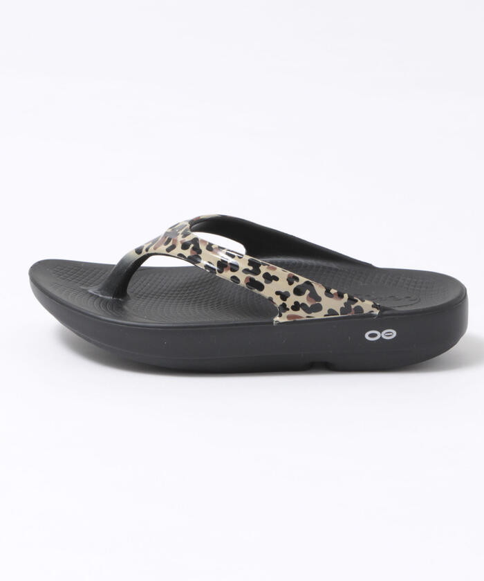 さく　ウーフォス　24.5センチ　レオパード　リカバリーサンダル 楽天市場】OOFOS ウーフォス サンダル OOLALA LIMITED LEOPARD
